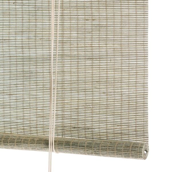 Light green paper plant roller blind
